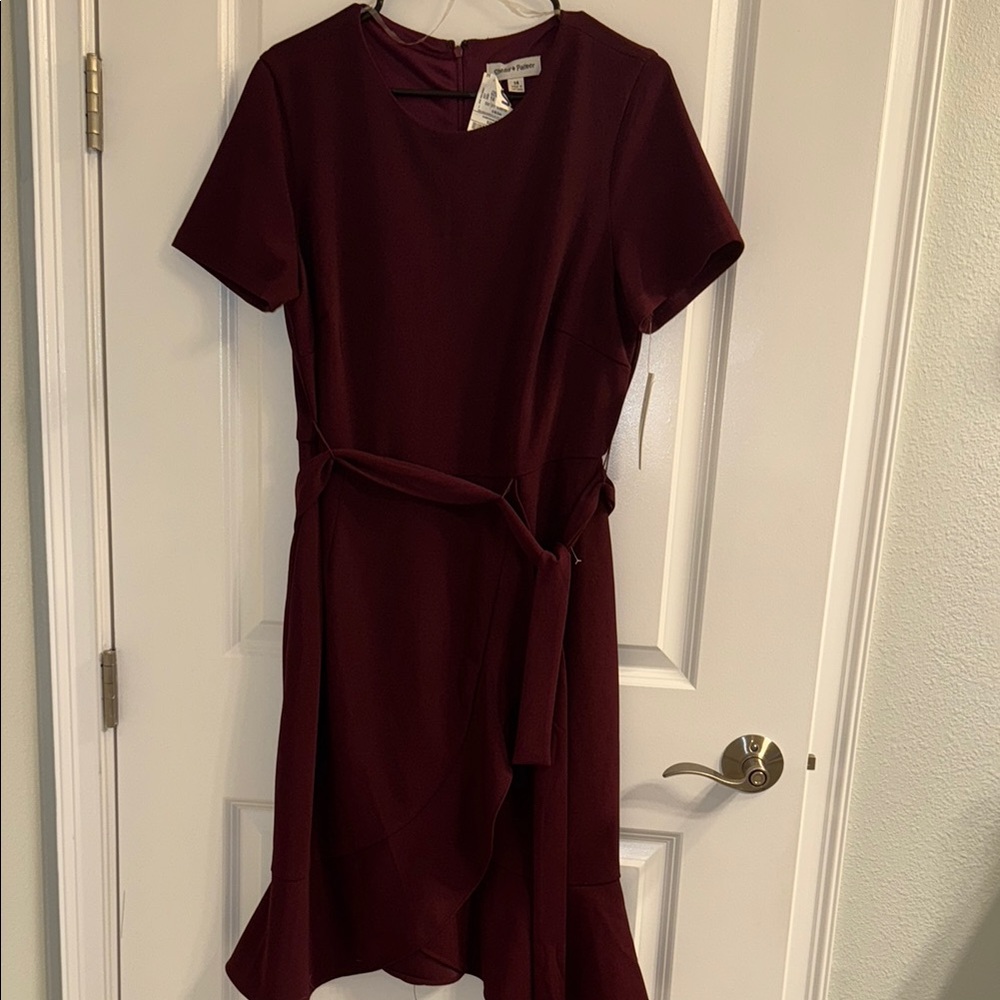 Elegant Burgundy Dress